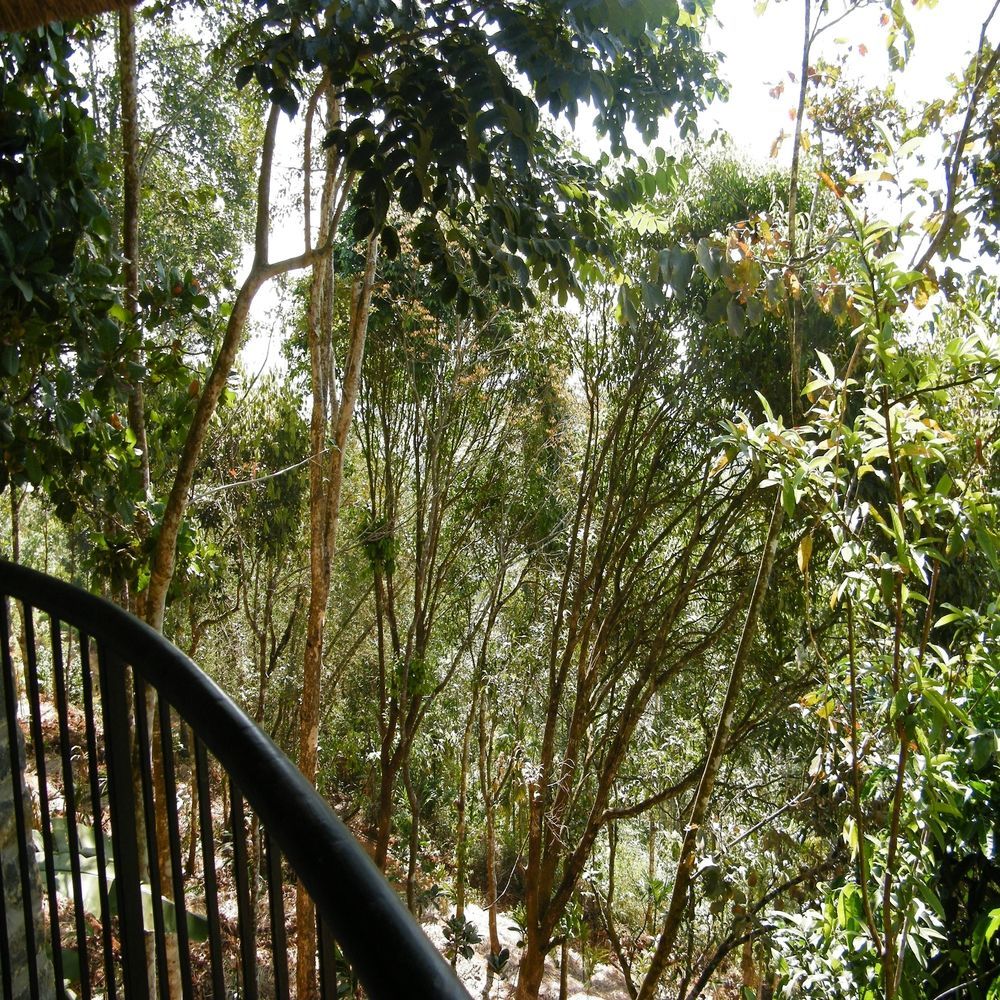 Poetree Thekkady Hotel Екстериор снимка